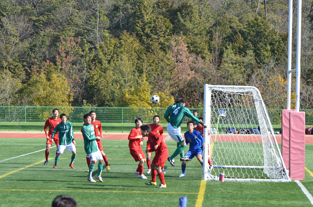 20160131A1_10.jpg